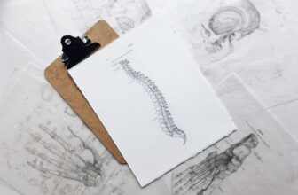 A person using a lumbar support cushion while sitting at a desk, demonstrating ergonomic support for lower back pain relief.